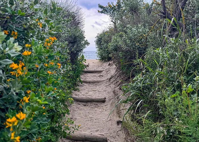 Escale Aux Tropiques - Vue
